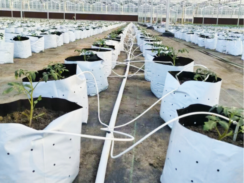 LDPE курама түтүк экструдер машинасы